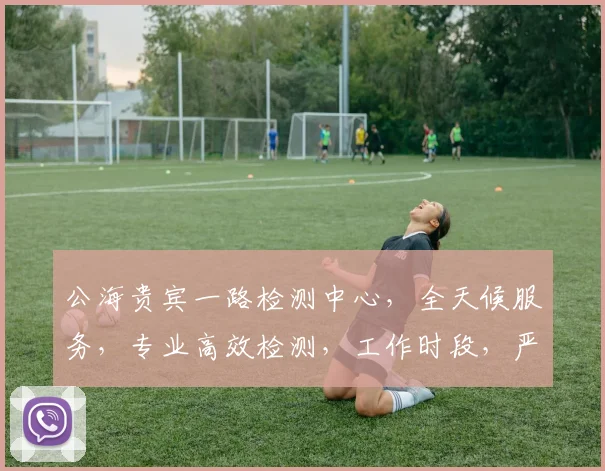 公海贵宾一路检测中心，全天候服务，专业高效检测，工作时段，严谨把关， ， commas。