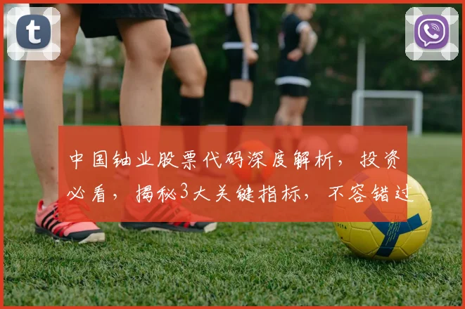 中国铀业股票代码深度解析，投资必看，揭秘3大关键指标，不容错过