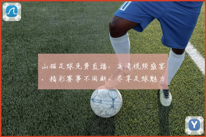 山猫足球免费直播，高清视频盛宴，精彩赛事不间断，尽享足球魅力，不容错过